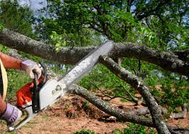 Best Lawn Grading and Leveling  in Dublin, CA